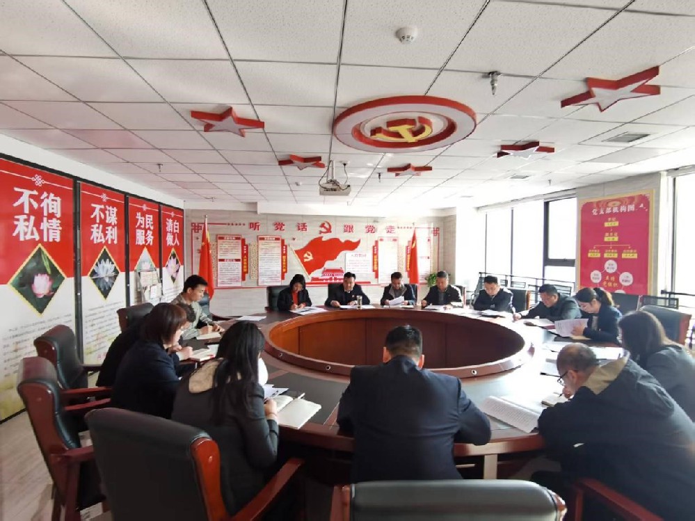 公司黨支部召開11月份主題黨日活動